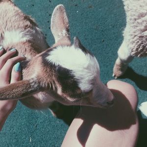 Meet your Posher, Chloe